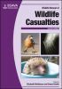 BSAVA Manual of Wildlife Casualties, 2nd Edition