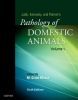 Jubb, Kennedy & Palmer`s Pathology of Domestic Animals: Volume 1, 6th Edition
